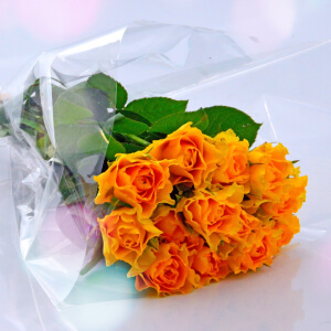 Louis Bagtton Flower