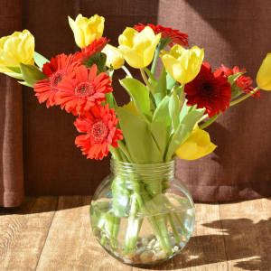 Amazing Grace Flower