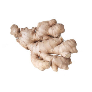 Ginger